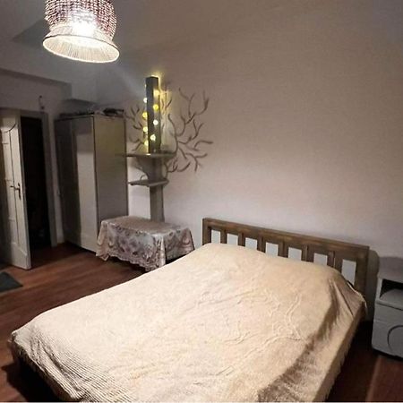 Hotel Mgzavrebi 巴库里阿尼 外观 照片