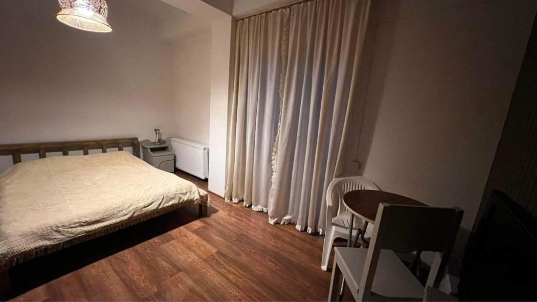 Hotel Mgzavrebi 巴库里阿尼 外观 照片
