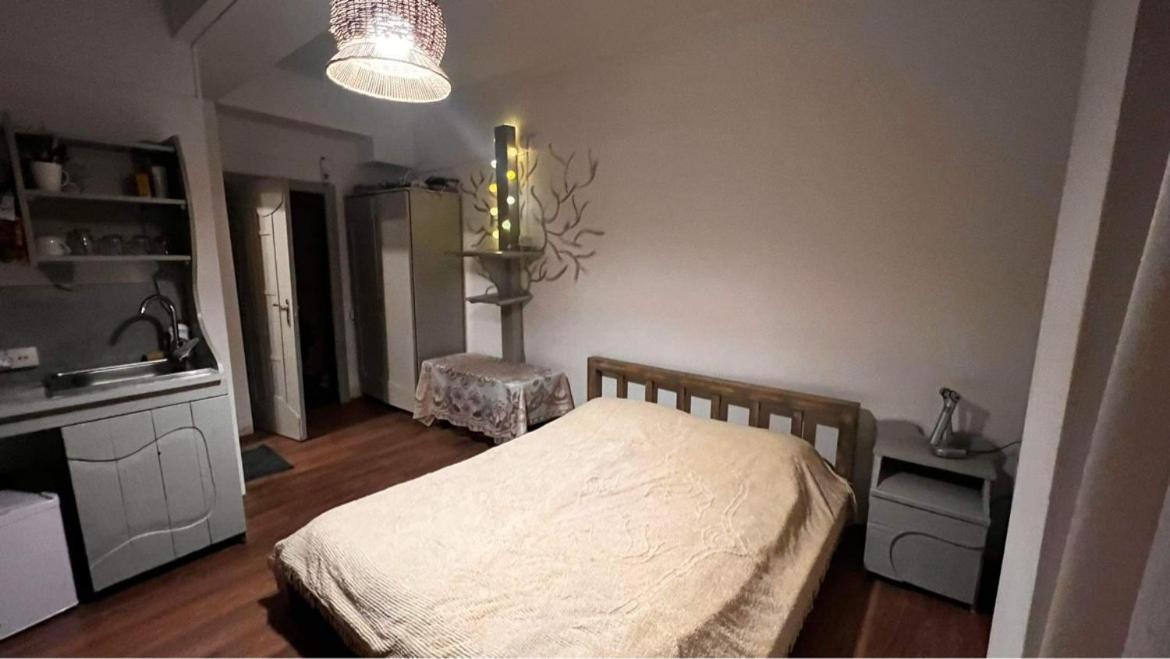 Hotel Mgzavrebi 巴库里阿尼 外观 照片