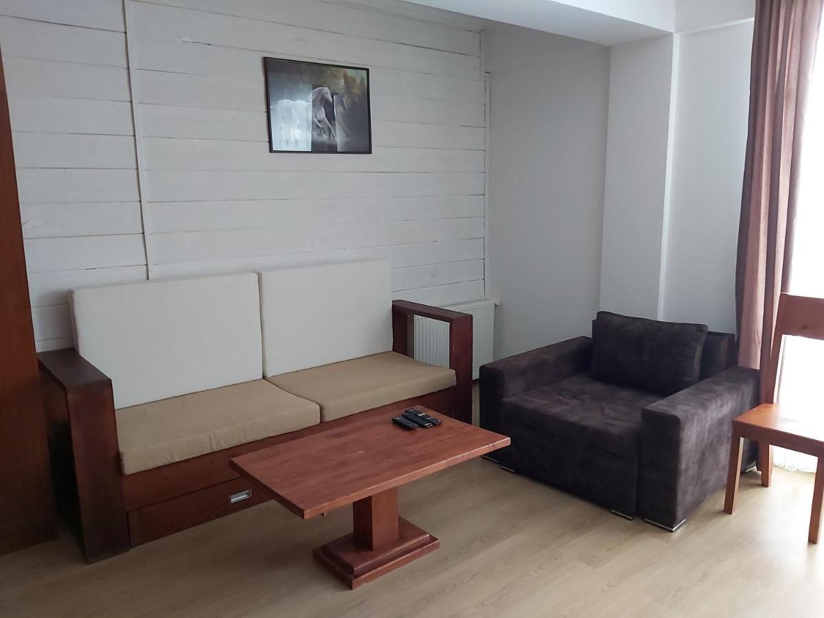 Hotel Mgzavrebi 巴库里阿尼 外观 照片
